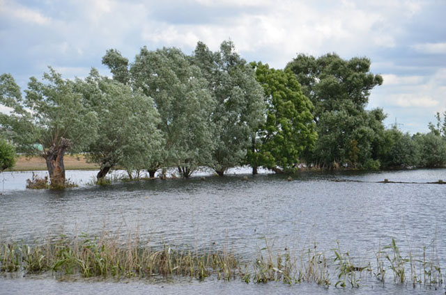 Flut 2013, Hochwasser bei Fischbeck